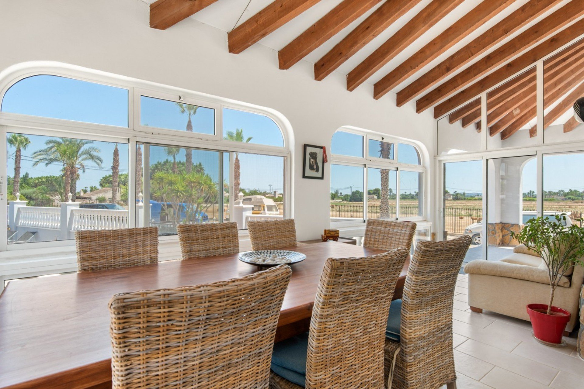 Reventa - Finca -
Catral - Catral - Country