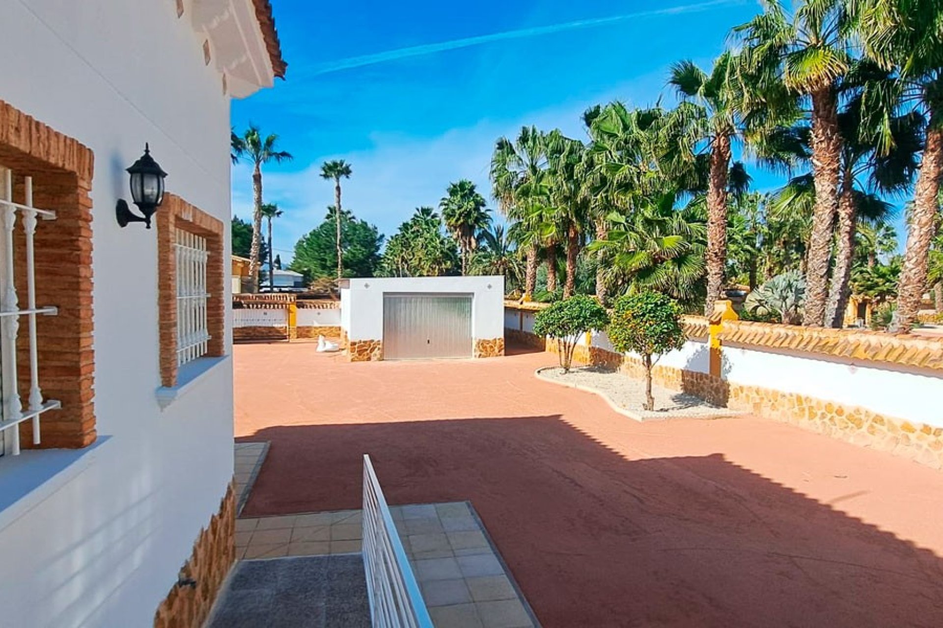 Reventa - Finca -
Catral - Catral - Country