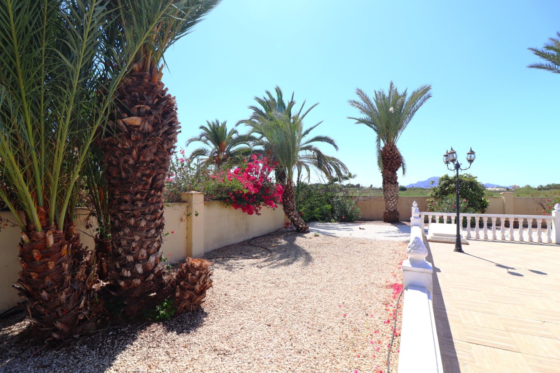 Reventa - Finca -
Catral - Catral - Country
