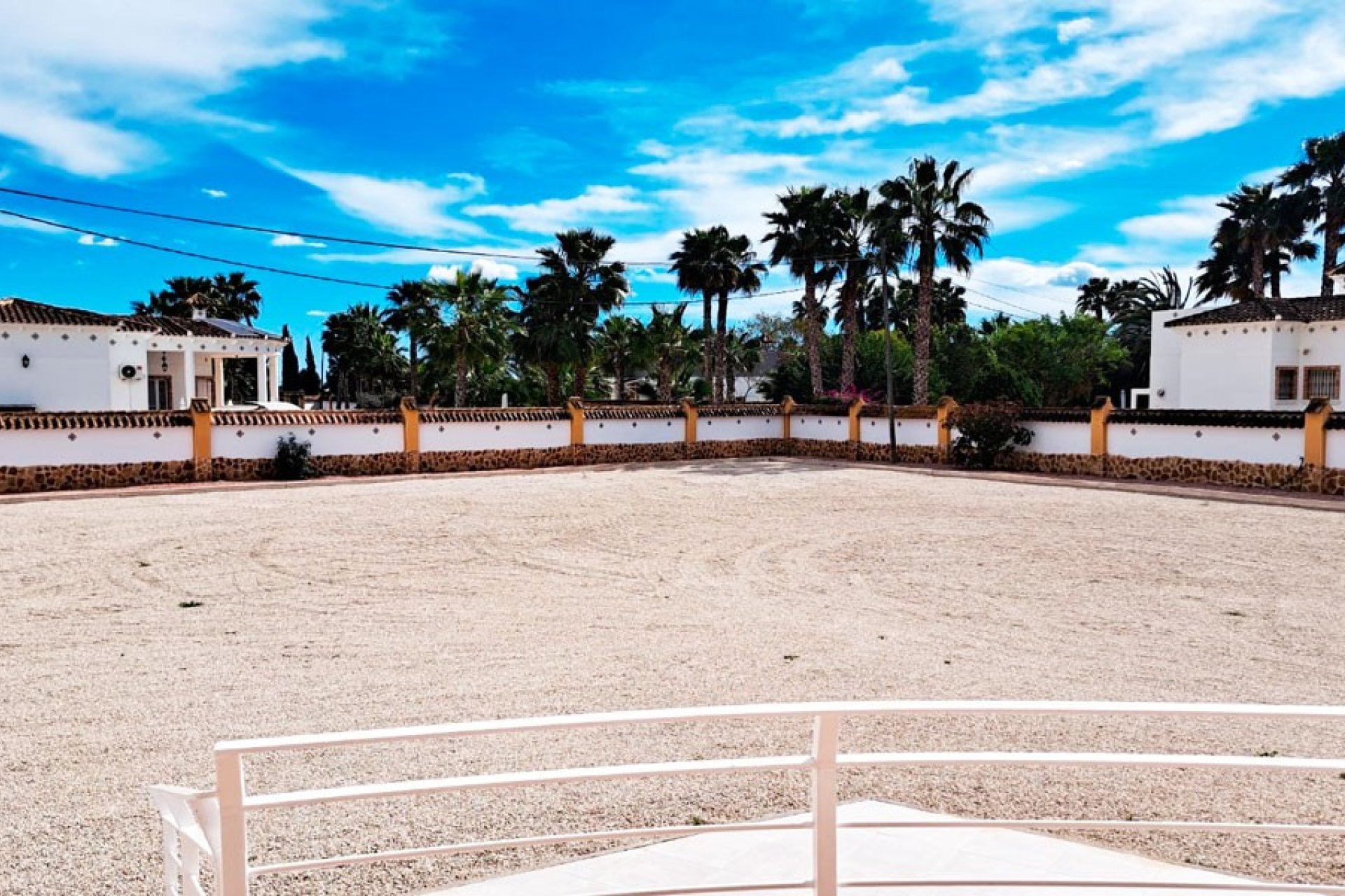 Reventa - Finca -
Catral - Catral - Country