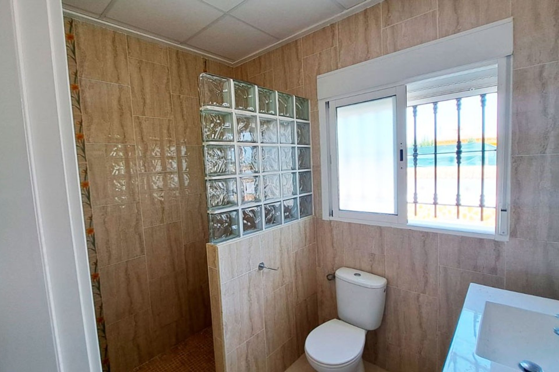 Reventa - Finca -
Catral - Catral - Country