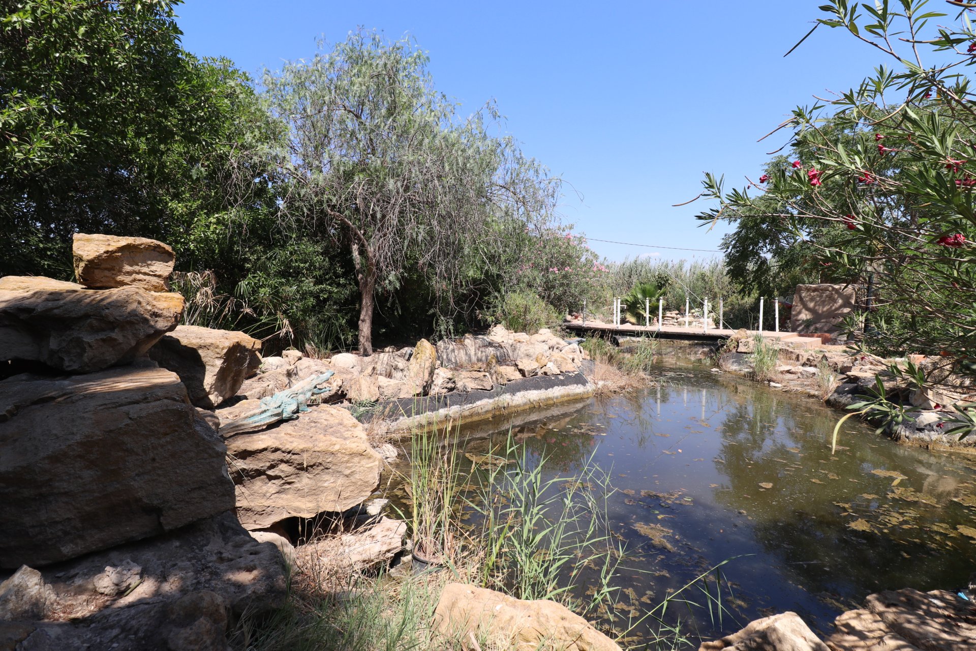 Reventa - Finca -
Catral - Catral - Country