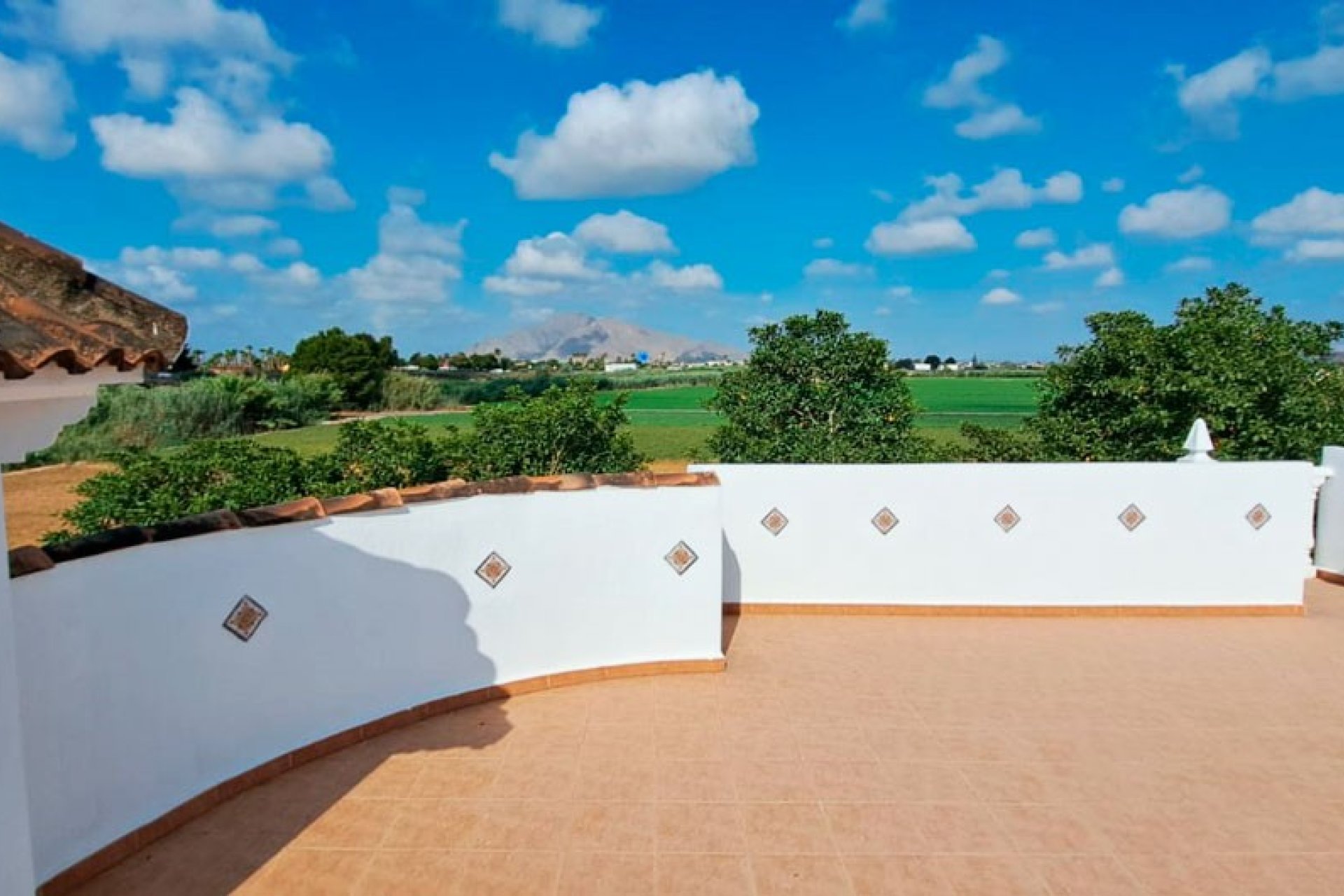 Reventa - Finca -
Catral - Catral - Country