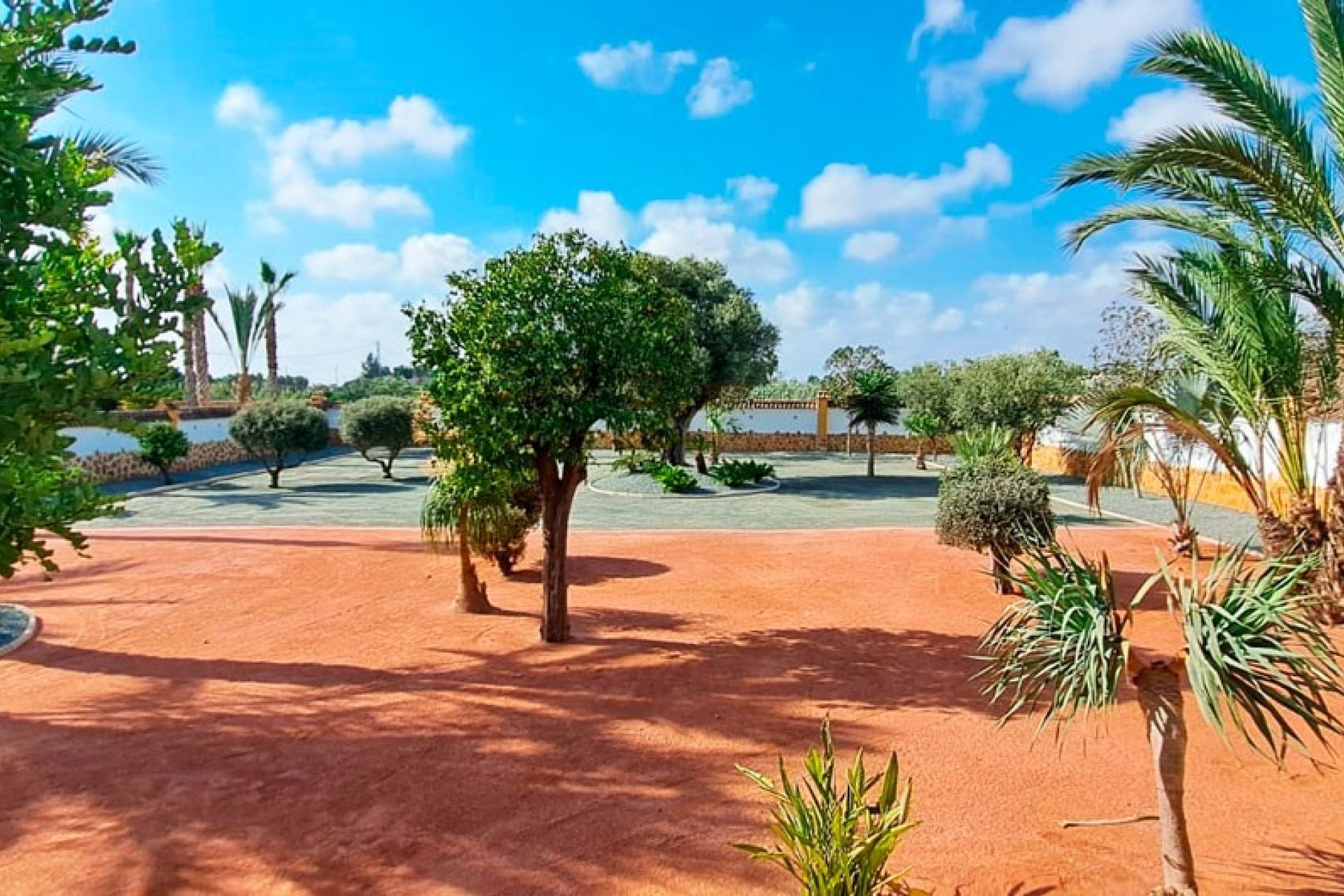 Reventa - Finca -
Catral - Catral - Country