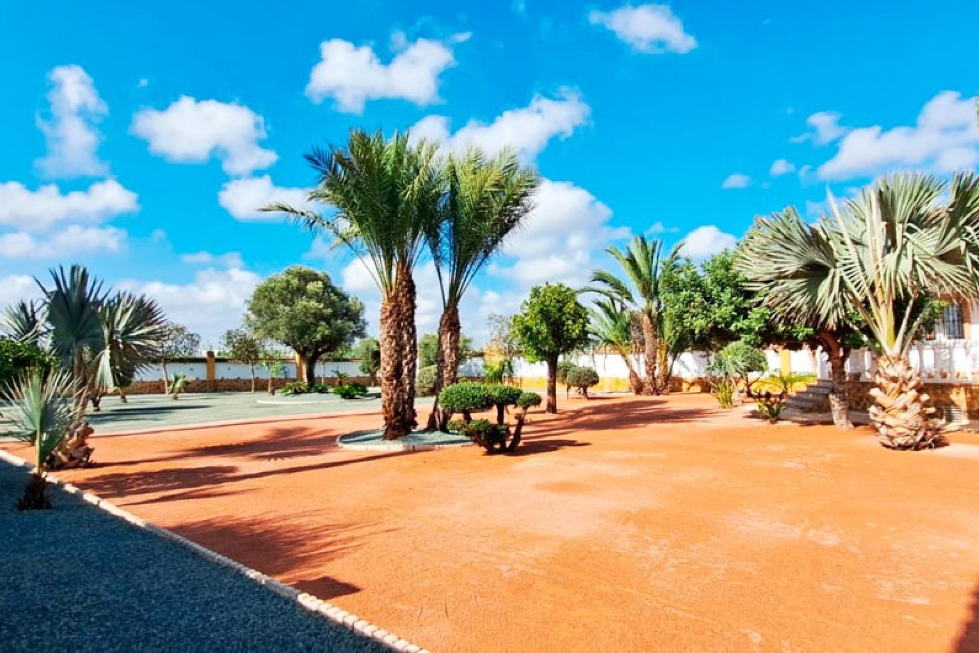 Reventa - Finca -
Catral - Catral - Country