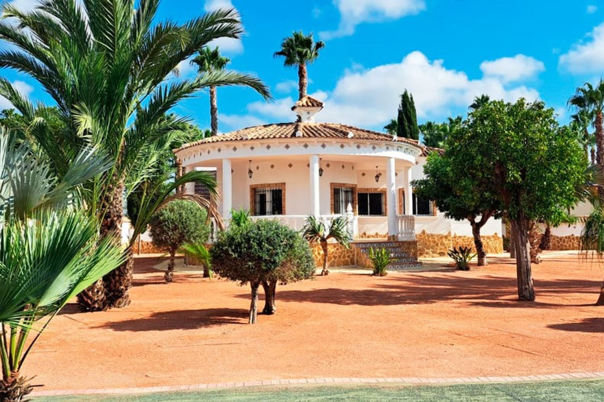 Reventa - Finca -
Catral - Catral - Country