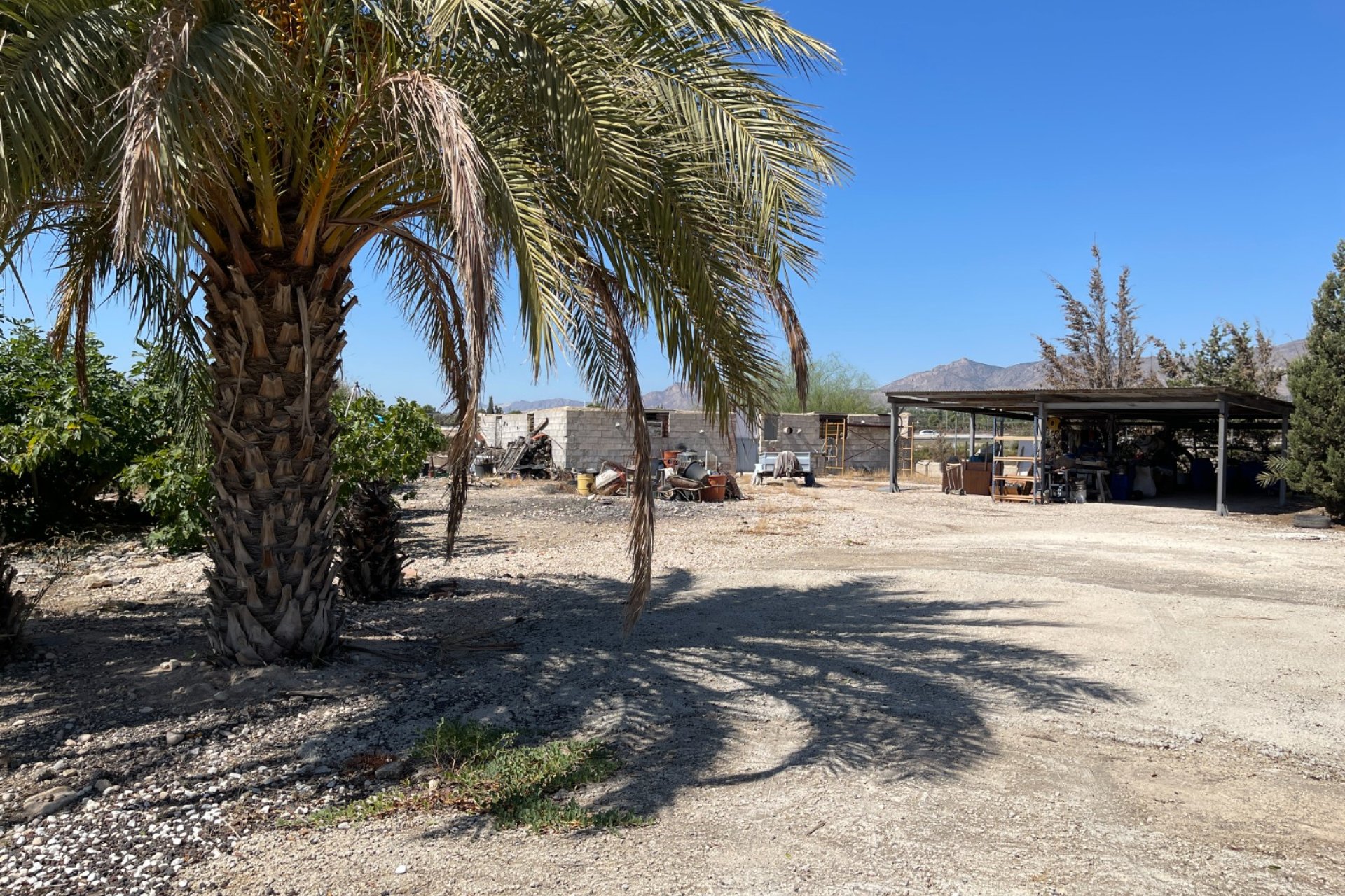 Reventa - Finca -
Crevillente - Crevillente - Country