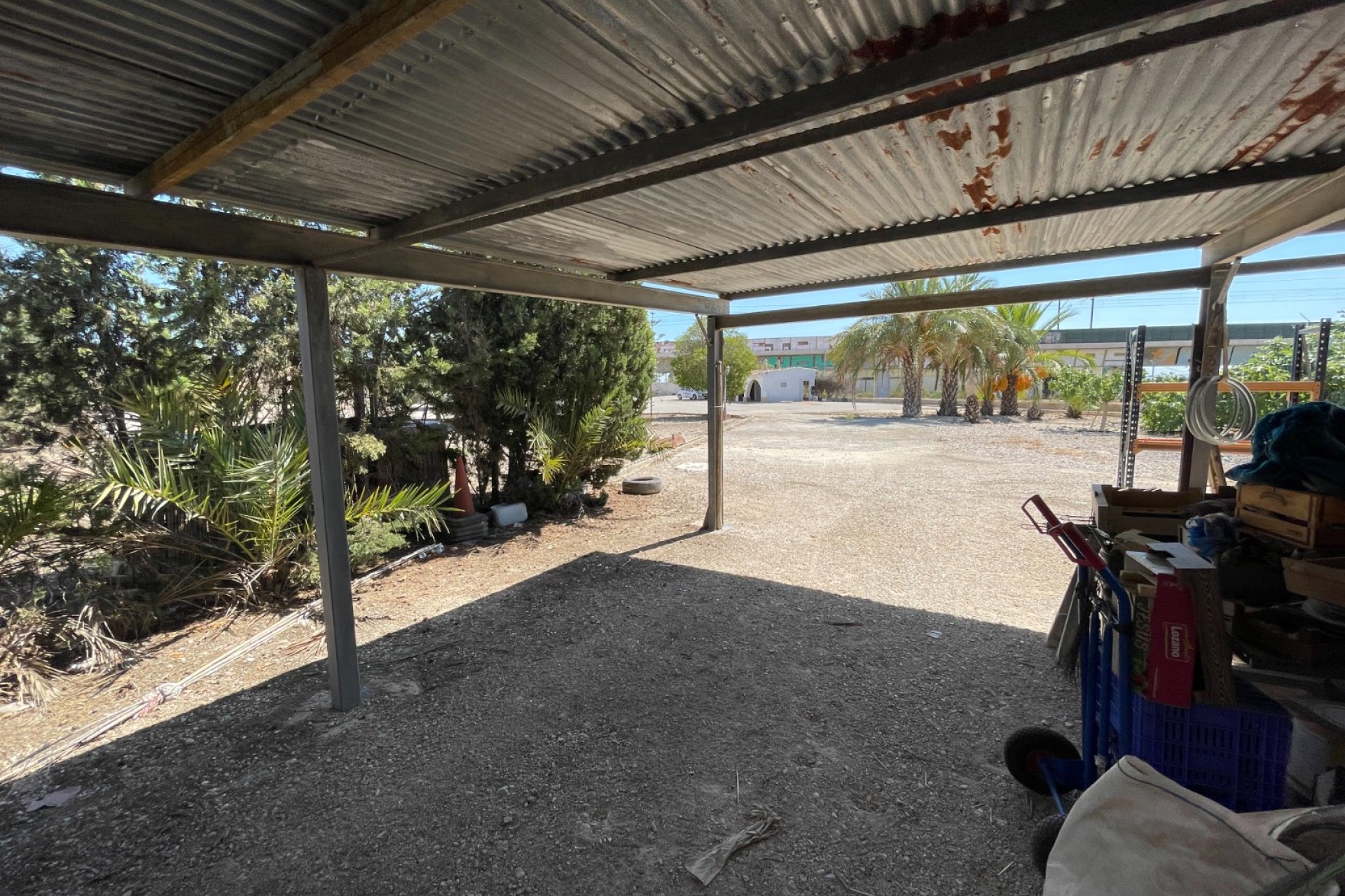 Reventa - Finca -
Crevillente - Crevillente - Country