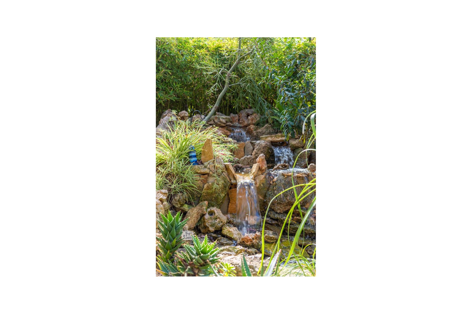 Reventa - Finca -
Daya Nueva - Daya Nueva - Country