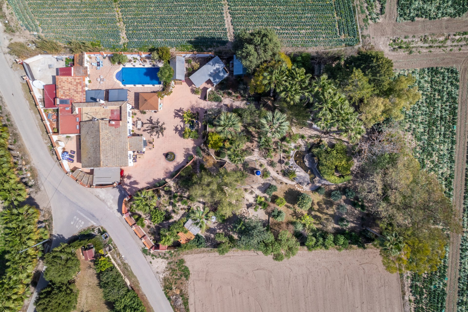 Reventa - Finca -
Daya Nueva - Daya Nueva - Country