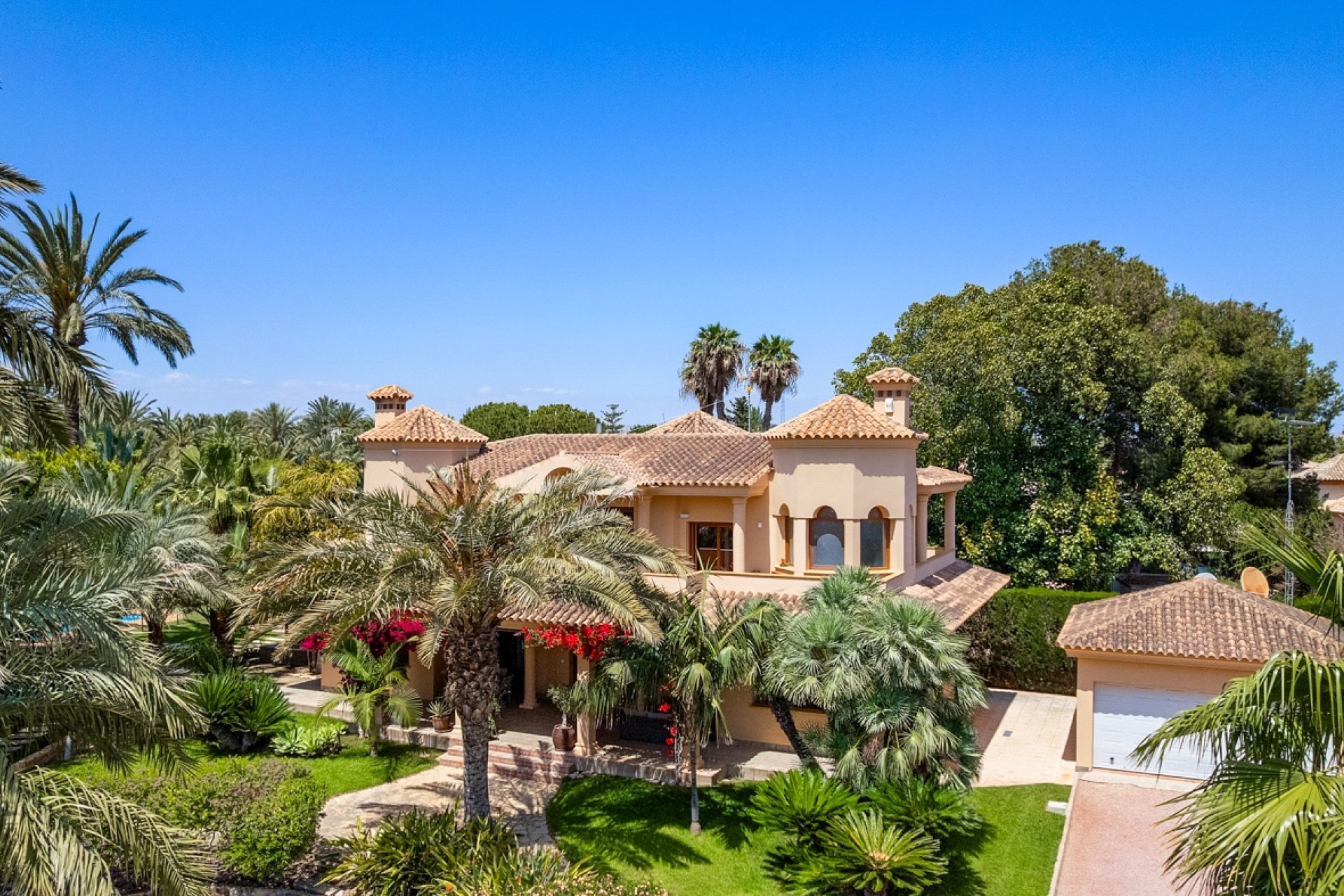 Reventa - Finca -
Elche - Elche - Country