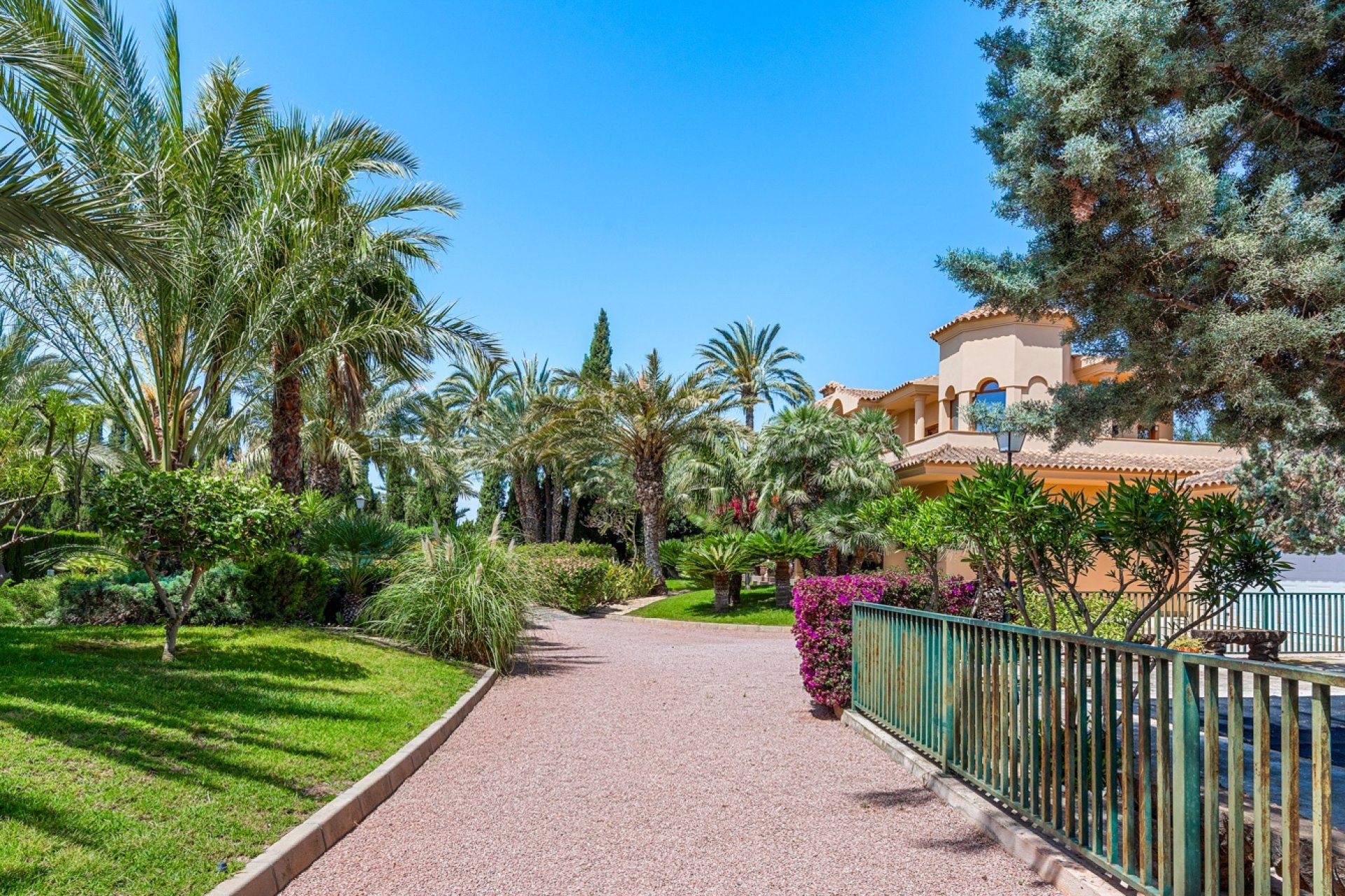 Reventa - Finca -
Elche - Elche - Country