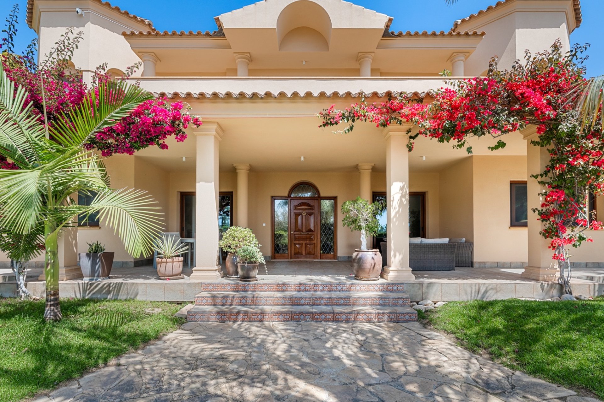 Reventa - Finca -
Elche - Elche - Country