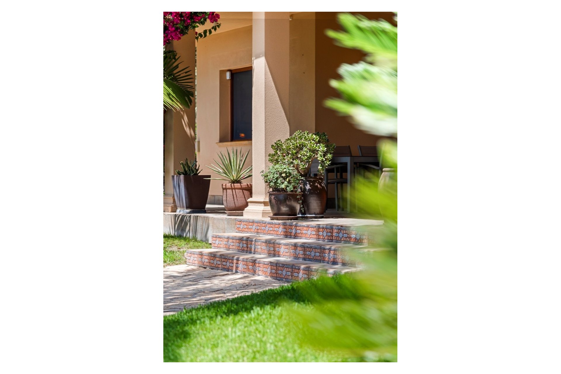 Reventa - Finca -
Elche - Elche - Country