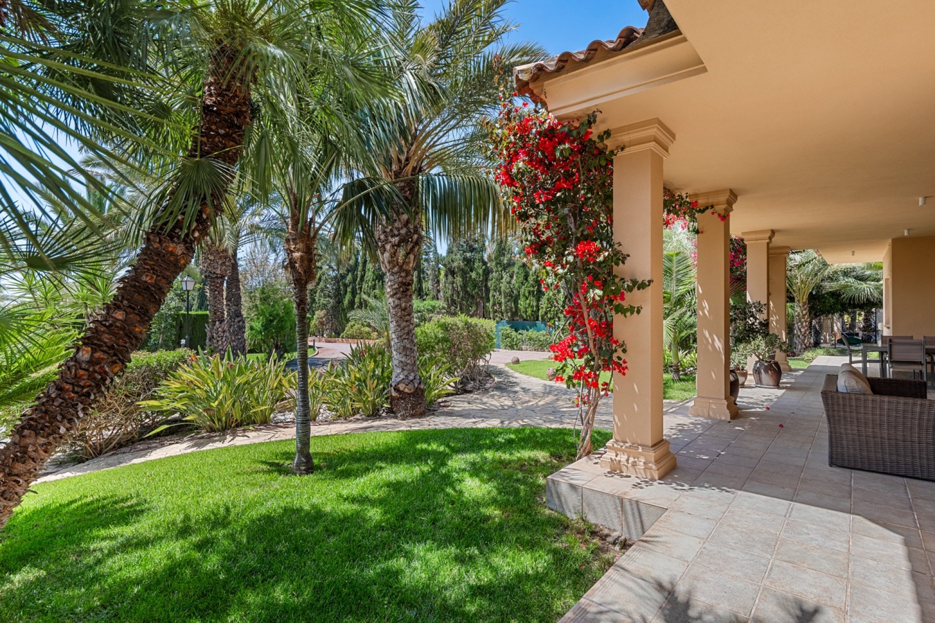 Reventa - Finca -
Elche - Elche - Country