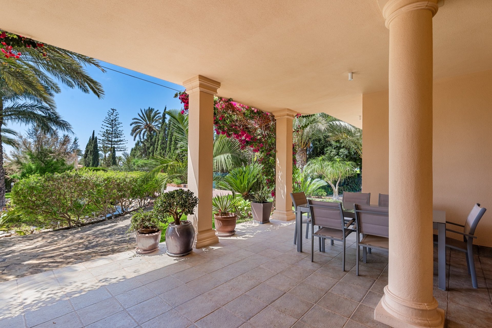 Reventa - Finca -
Elche - Elche - Country