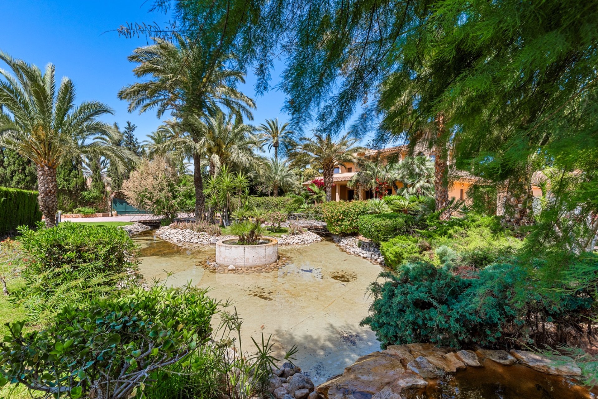 Reventa - Finca -
Elche - Elche - Country