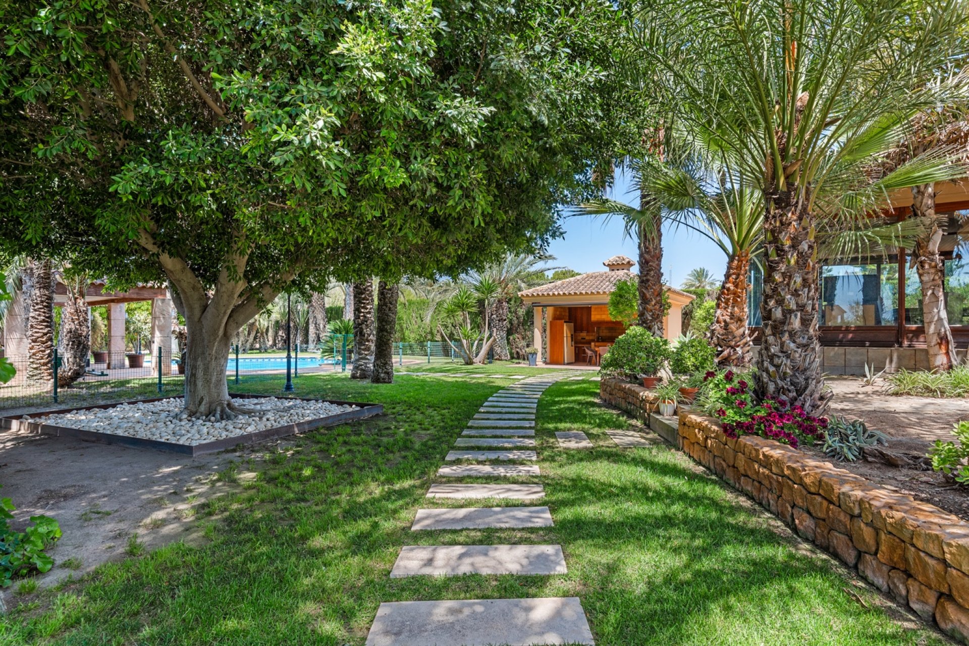 Reventa - Finca -
Elche - Elche - Country