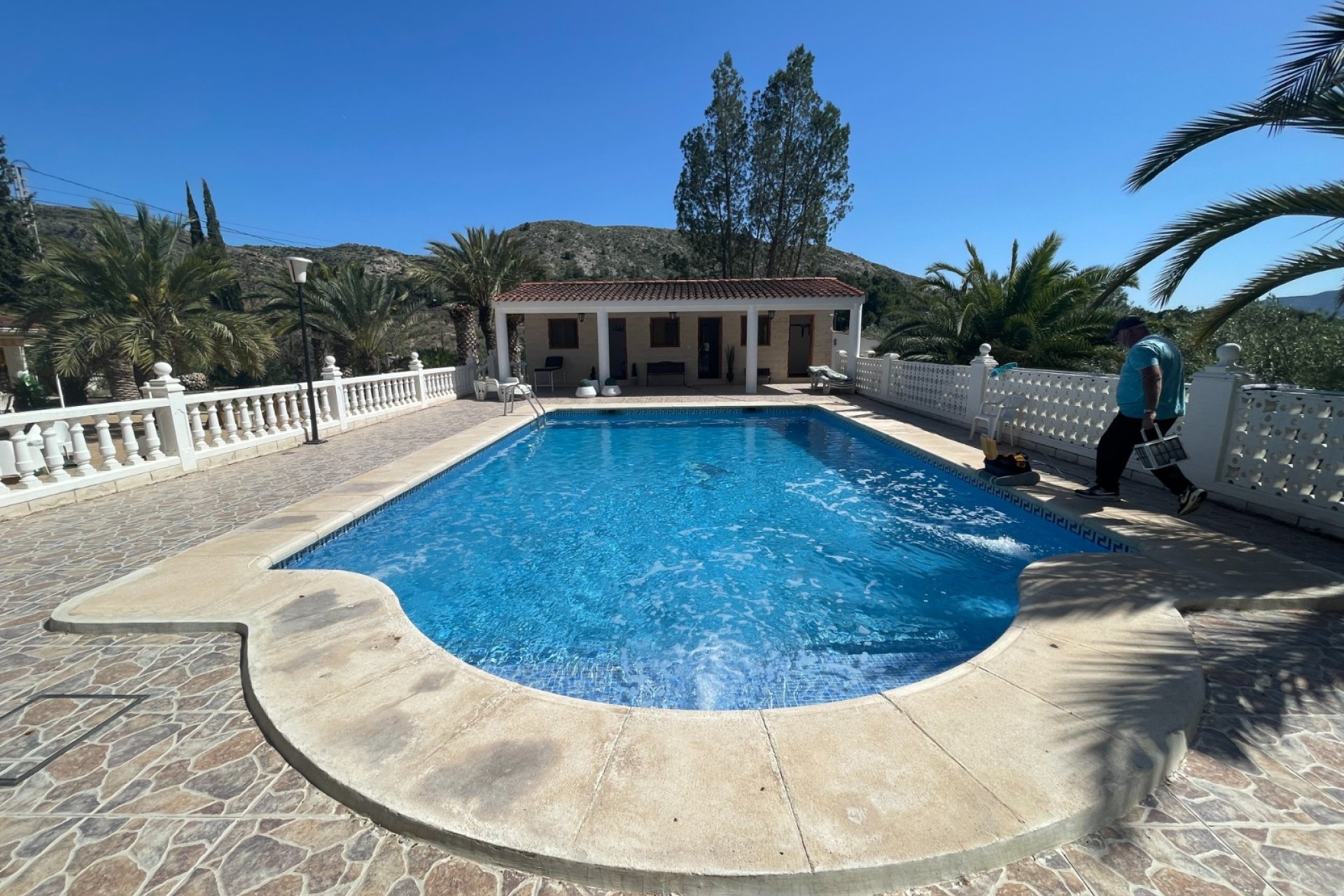 Reventa - Finca -
Elda - Elda - Country