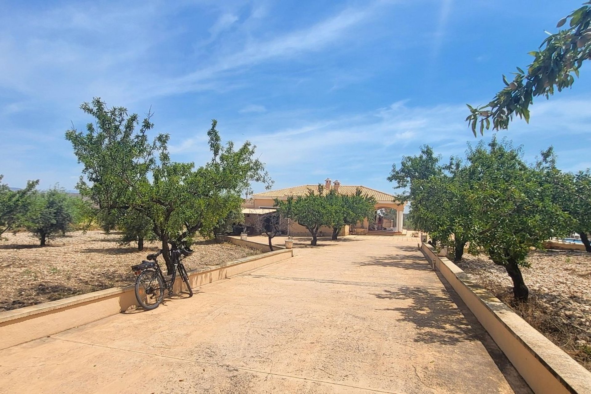 Reventa - Finca -
Hondon - Hondon de Las Nieves