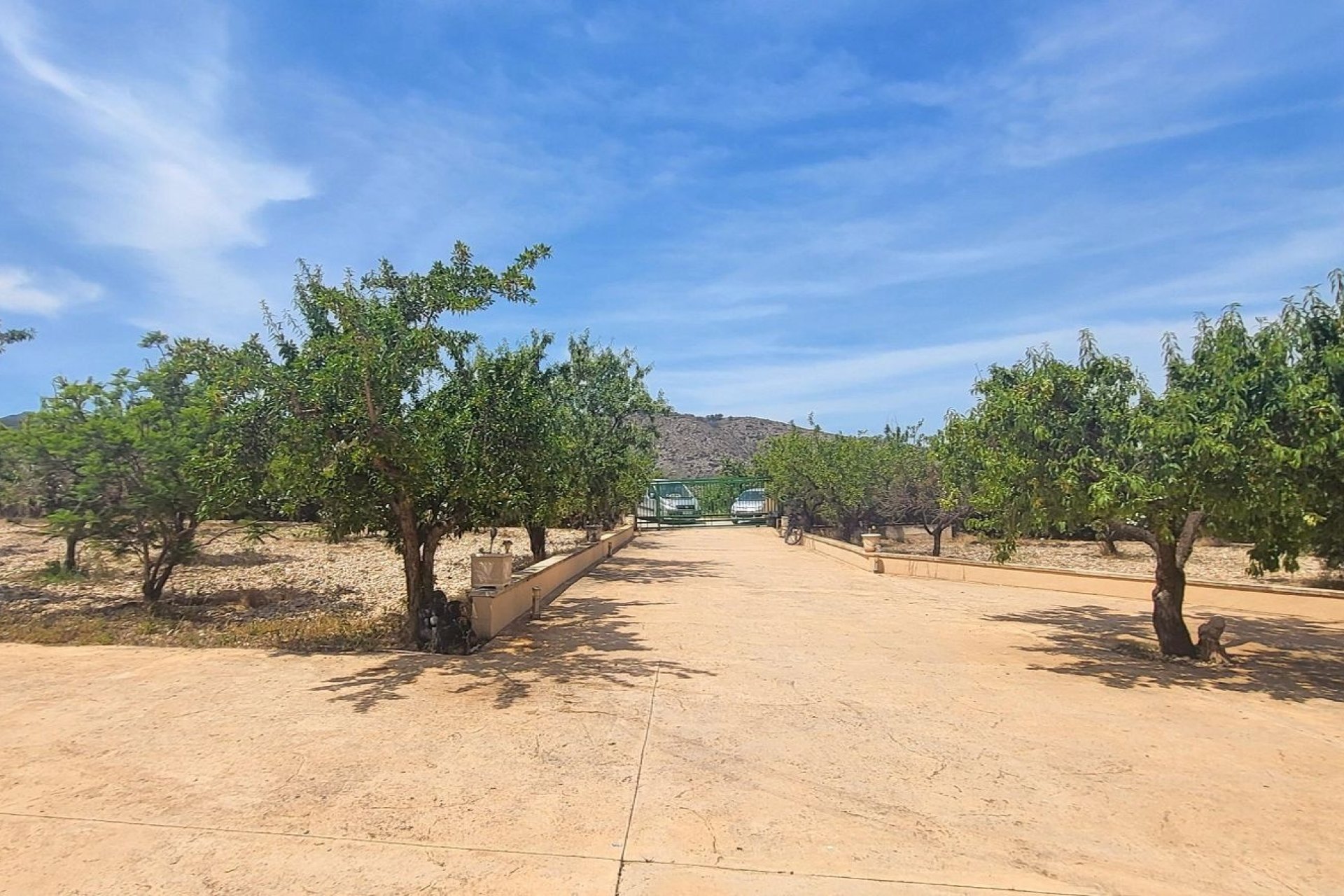 Reventa - Finca -
Hondon - Hondon de Las Nieves