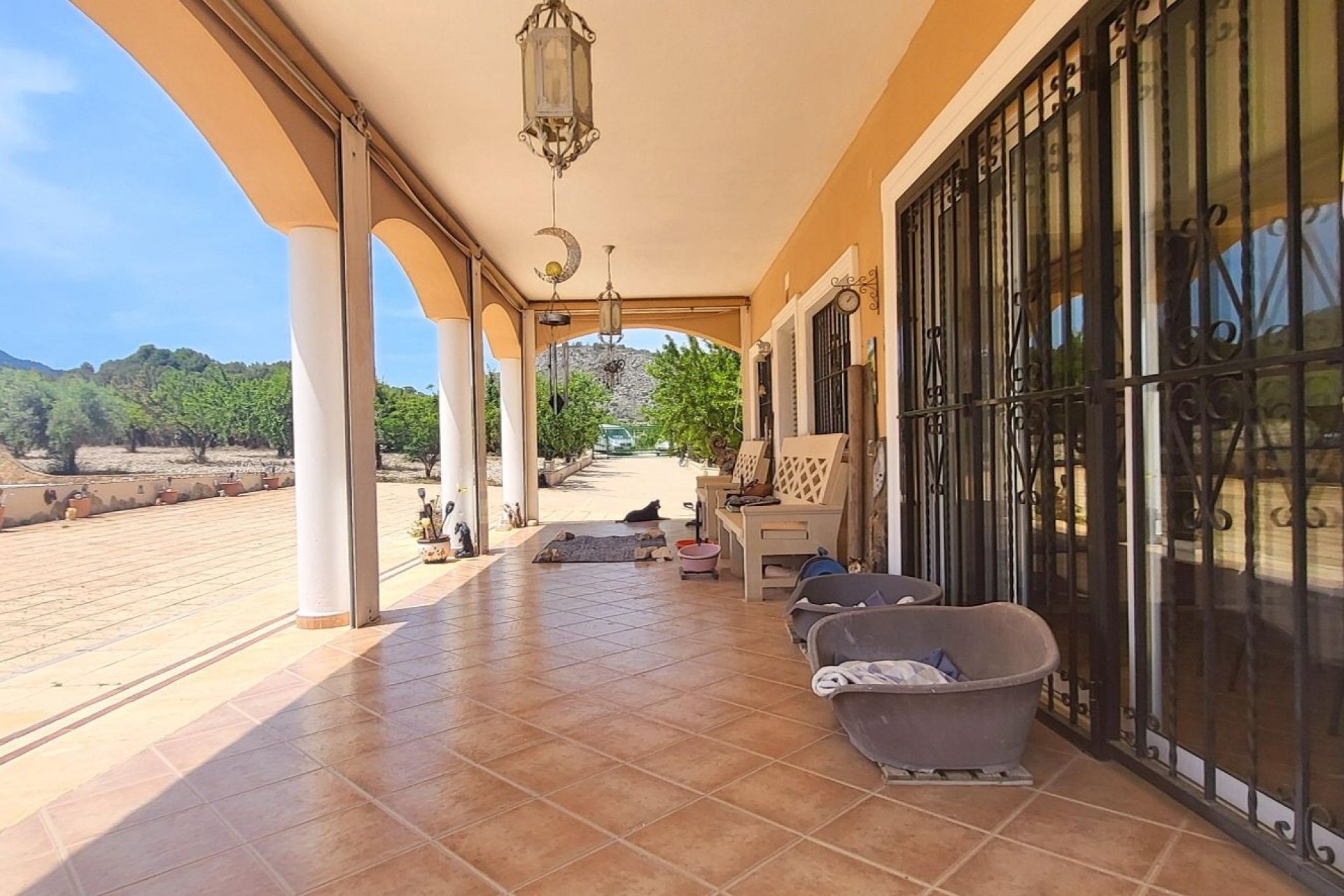 Reventa - Finca -
Hondon - Hondon de Las Nieves