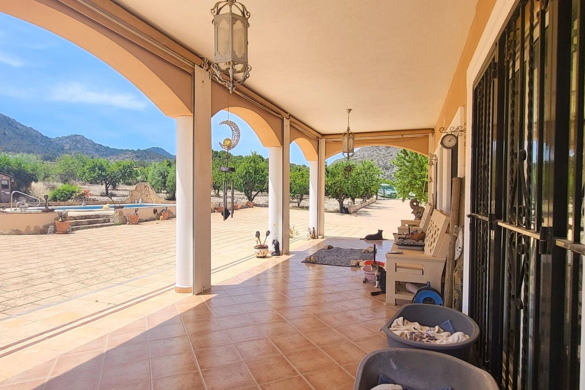 Reventa - Finca -
Hondon - Hondon de Las Nieves