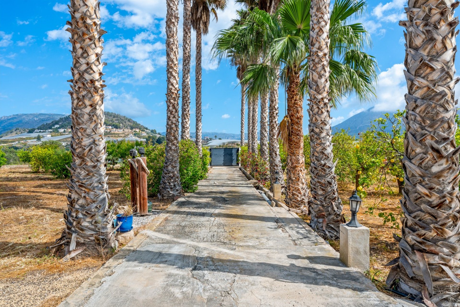 Reventa - Finca -
La Nucia - La Nucia - Country