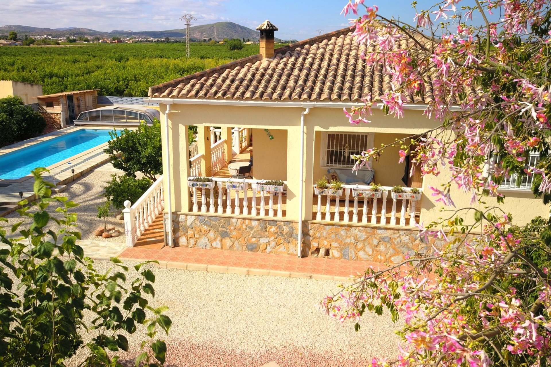 Reventa - Finca -
Orihuela - La Campaneta