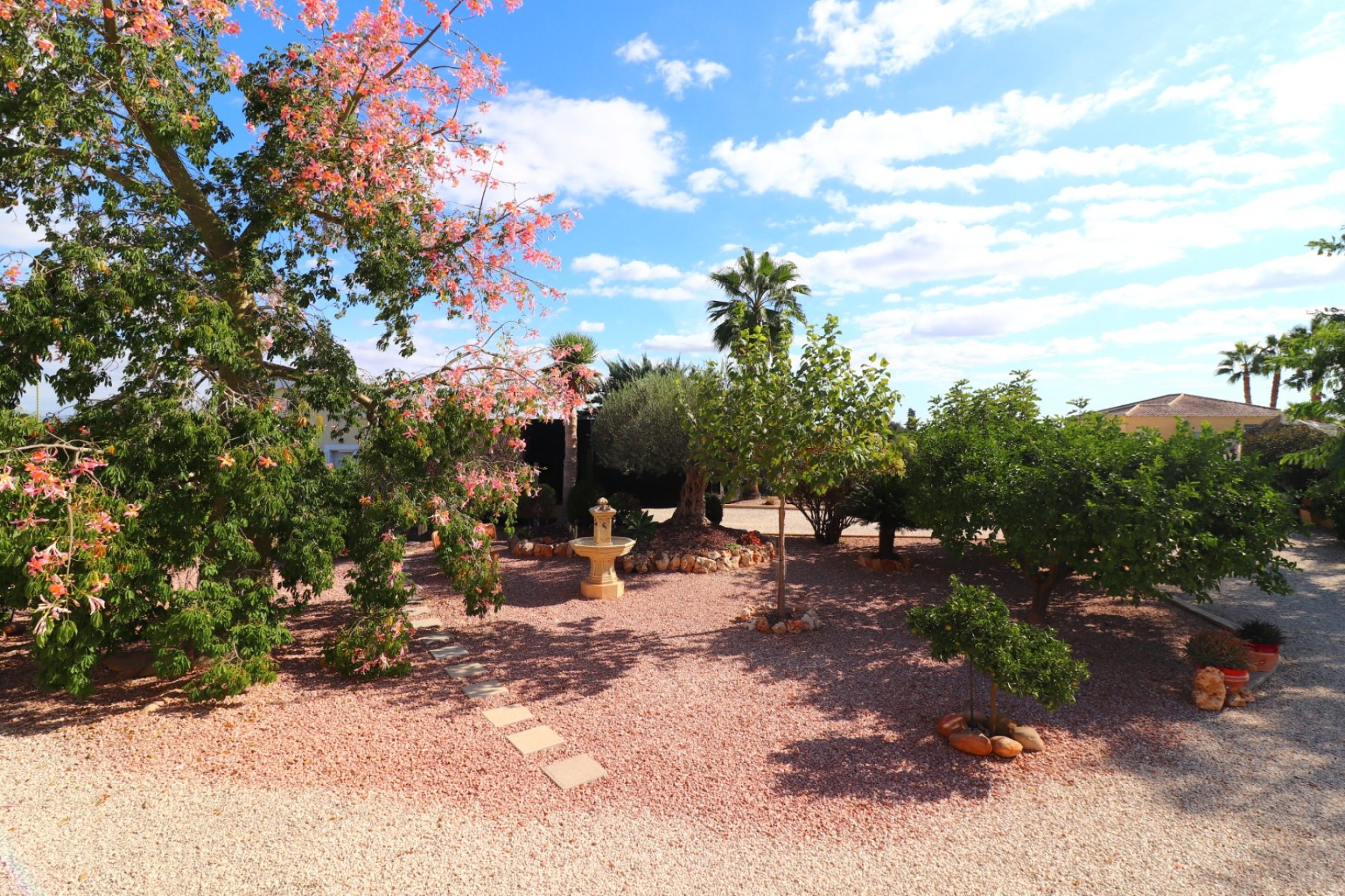 Reventa - Finca -
Orihuela - La Campaneta