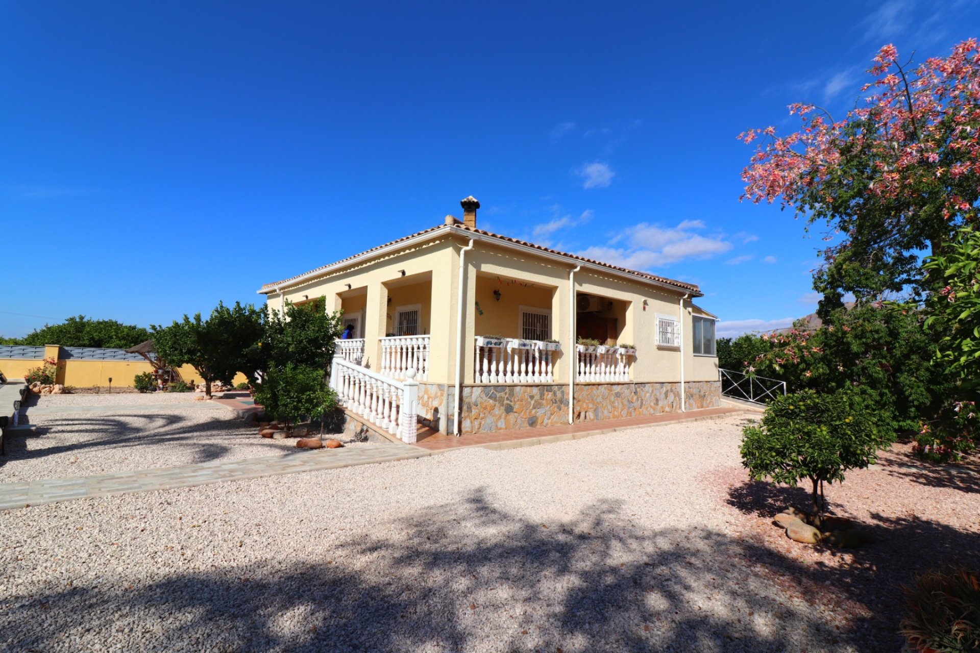 Reventa - Finca -
Orihuela - La Campaneta