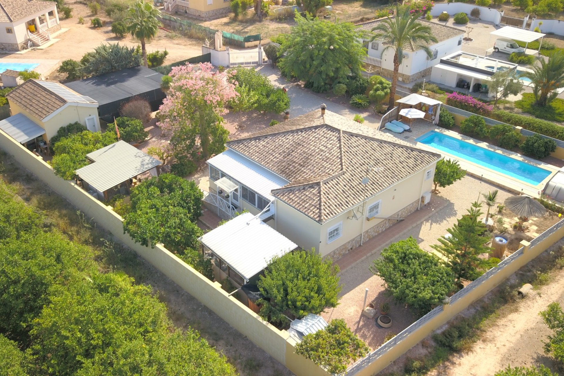 Reventa - Finca -
Orihuela - La Campaneta