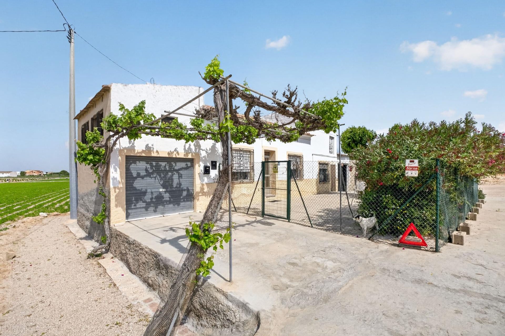 Reventa - Finca -
Orihuela - Los Desamparados