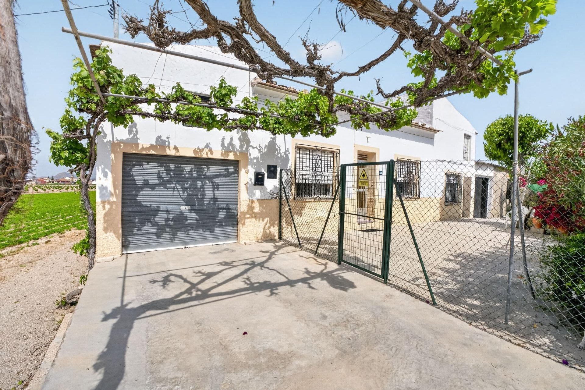 Reventa - Finca -
Orihuela - Los Desamparados