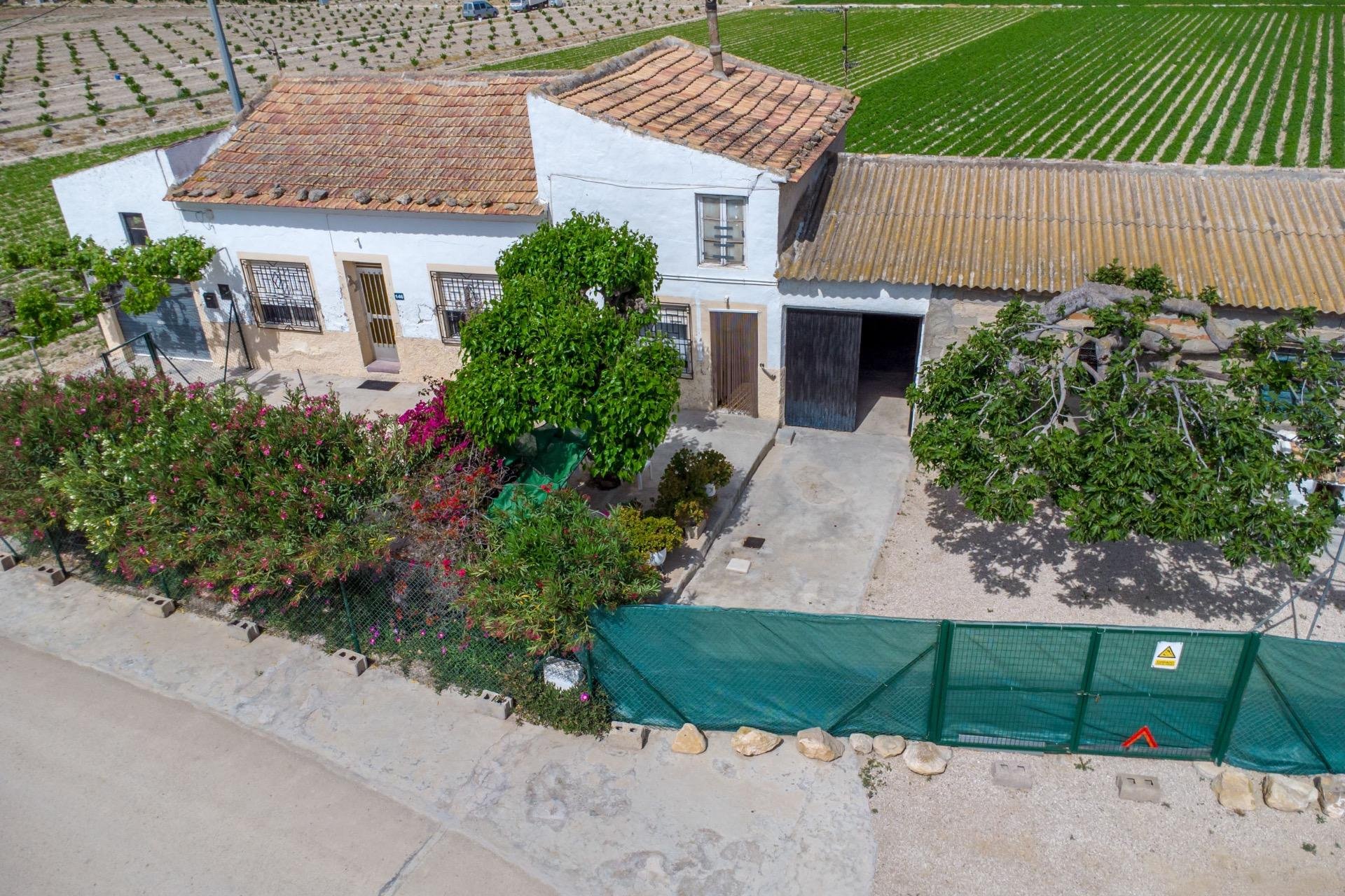 Reventa - Finca -
Orihuela - Los Desamparados