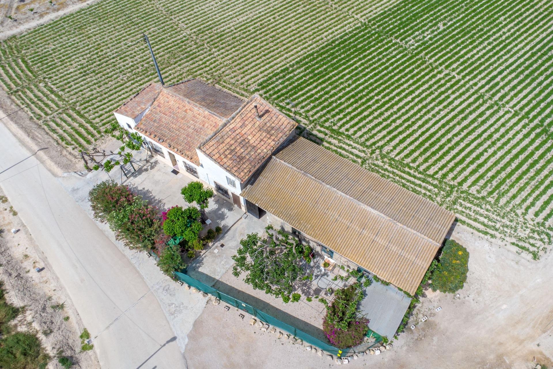 Reventa - Finca -
Orihuela - Los Desamparados