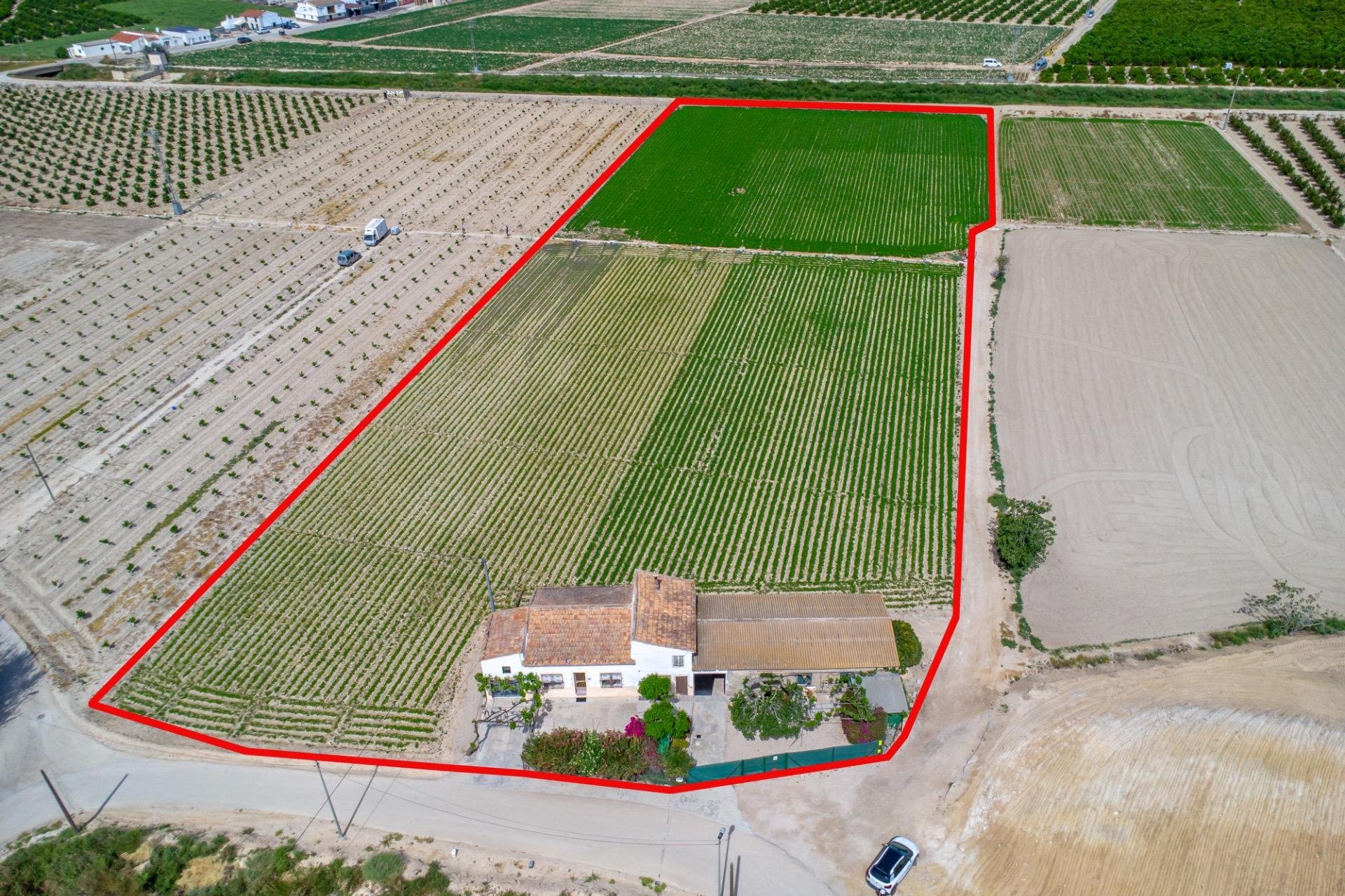 Reventa - Finca -
Orihuela - Los Desamparados