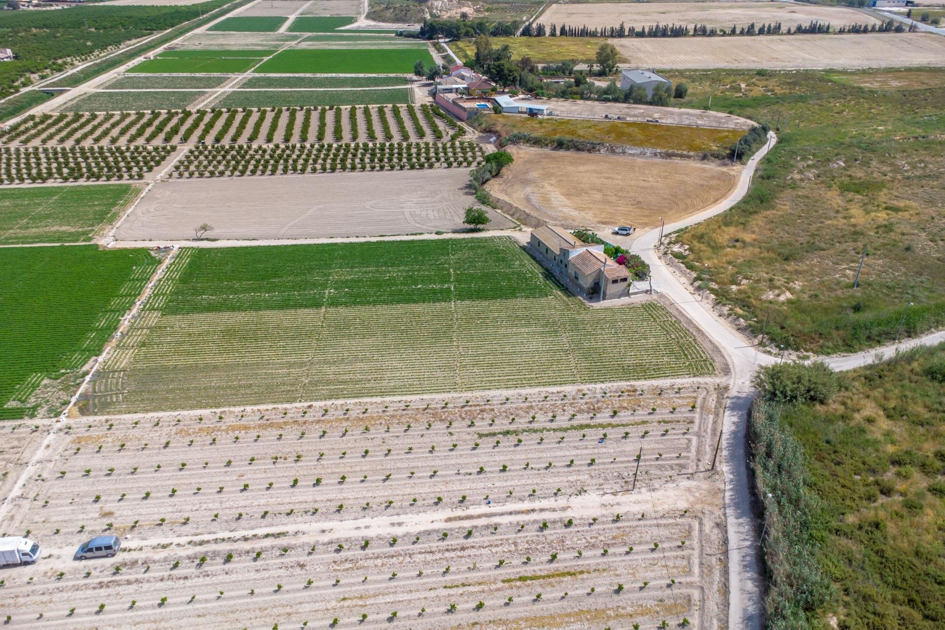 Reventa - Finca -
Orihuela - Los Desamparados