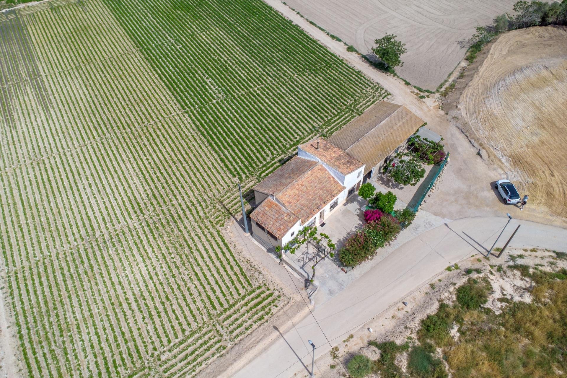 Reventa - Finca -
Orihuela - Los Desamparados