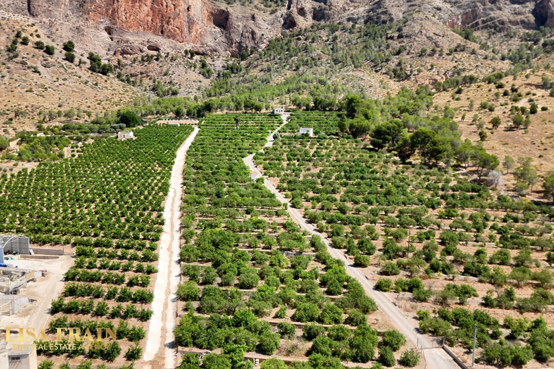 Reventa - Finca -
Orihuela - Raiguero de Bonanza