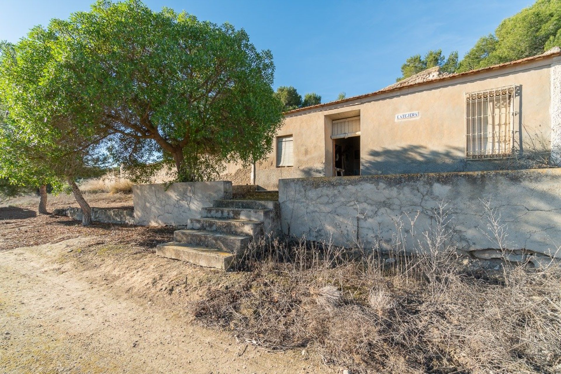 Reventa - Finca -
Pilar de la Horadada - Pinar de la Perdiz