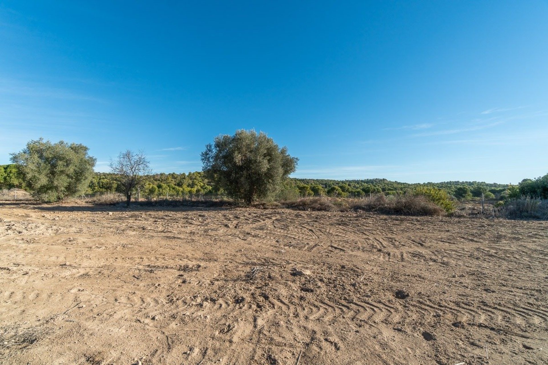 Reventa - Finca -
Pilar de la Horadada - Pinar de la Perdiz