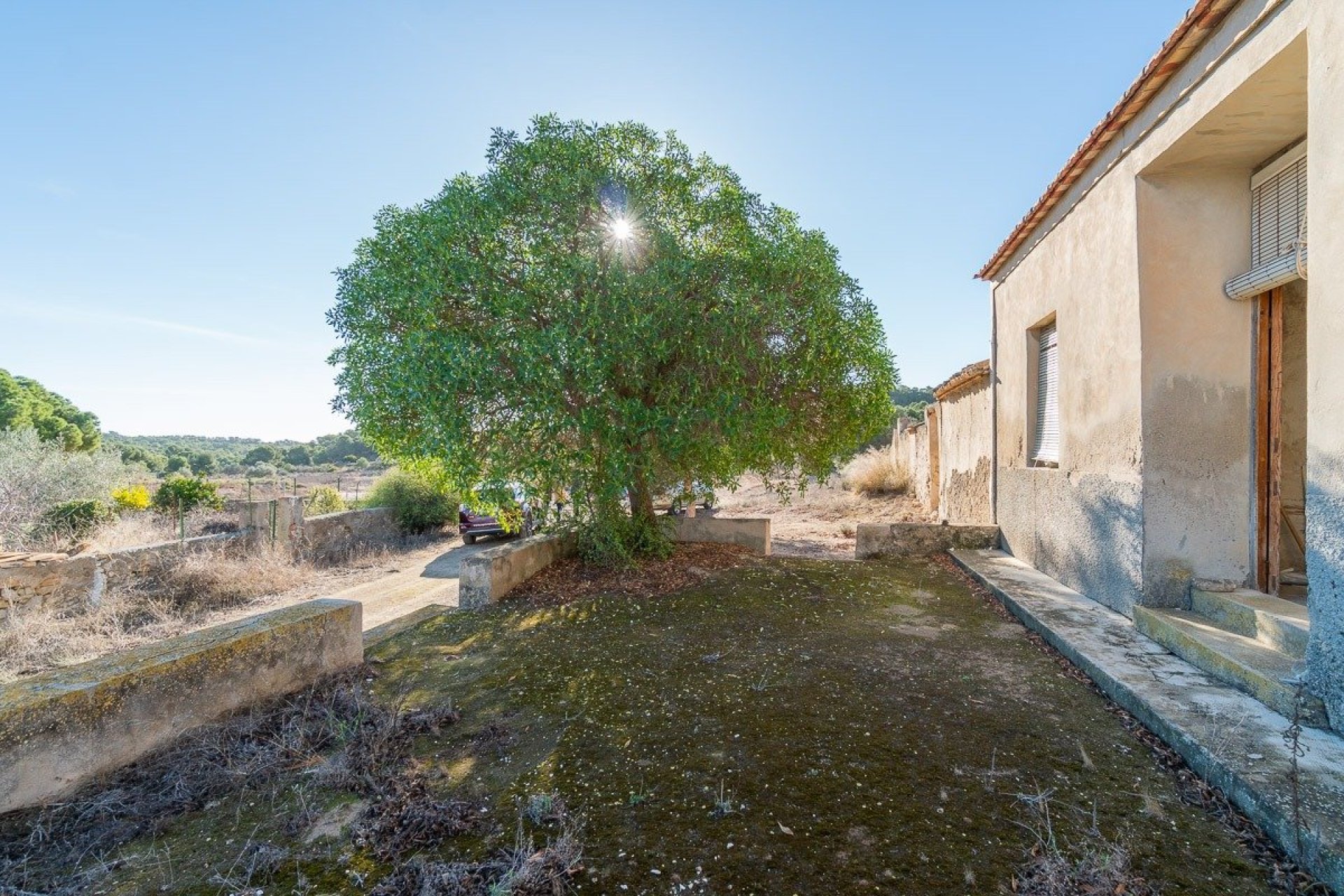 Reventa - Finca -
Pilar de la Horadada - Pinar de la Perdiz