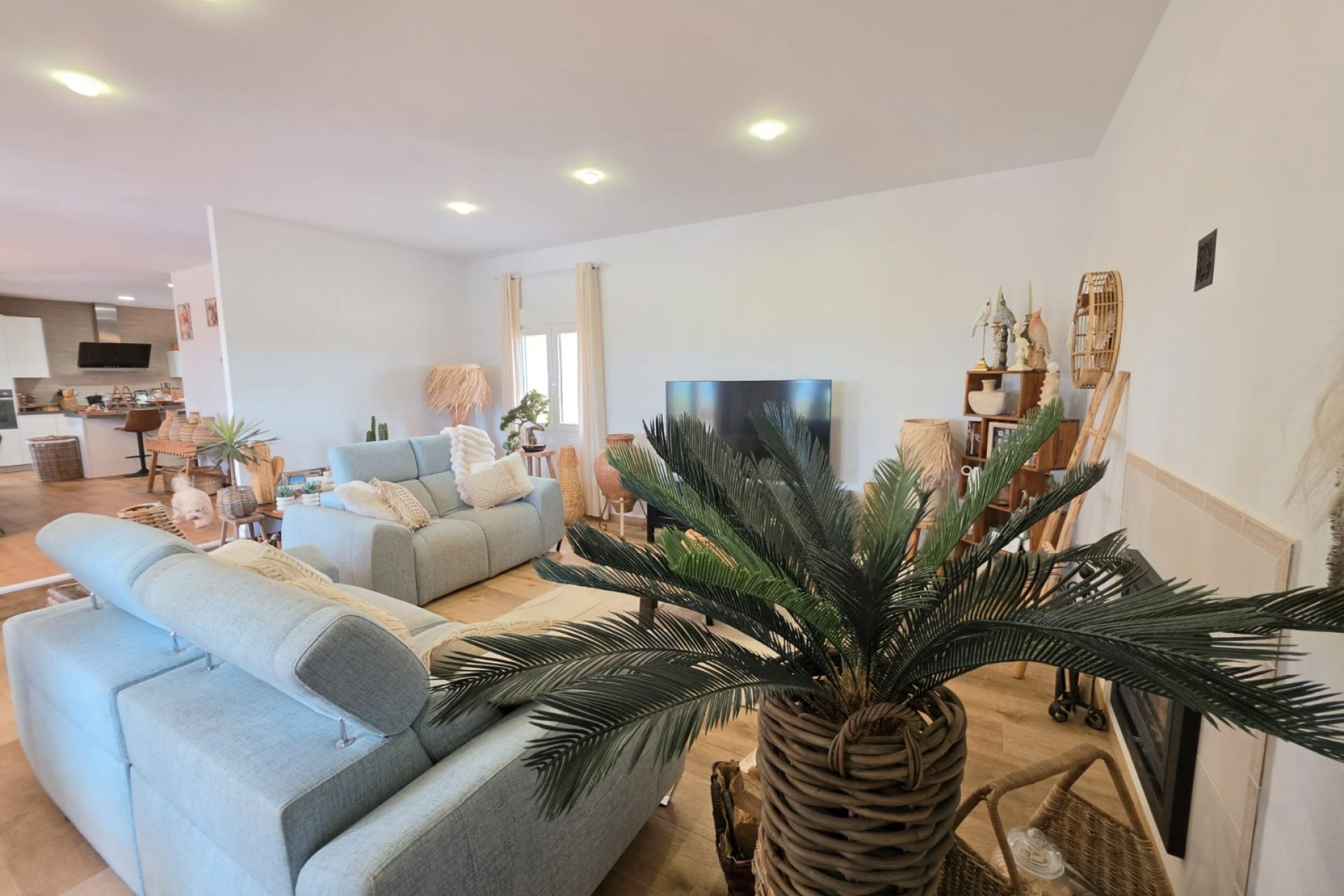 Reventa - Finca -
Pinoso - Pinoso - Country