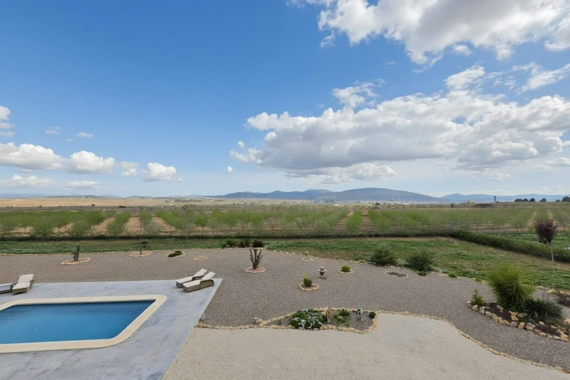 Reventa - Finca -
Pinoso - Pinoso - Country