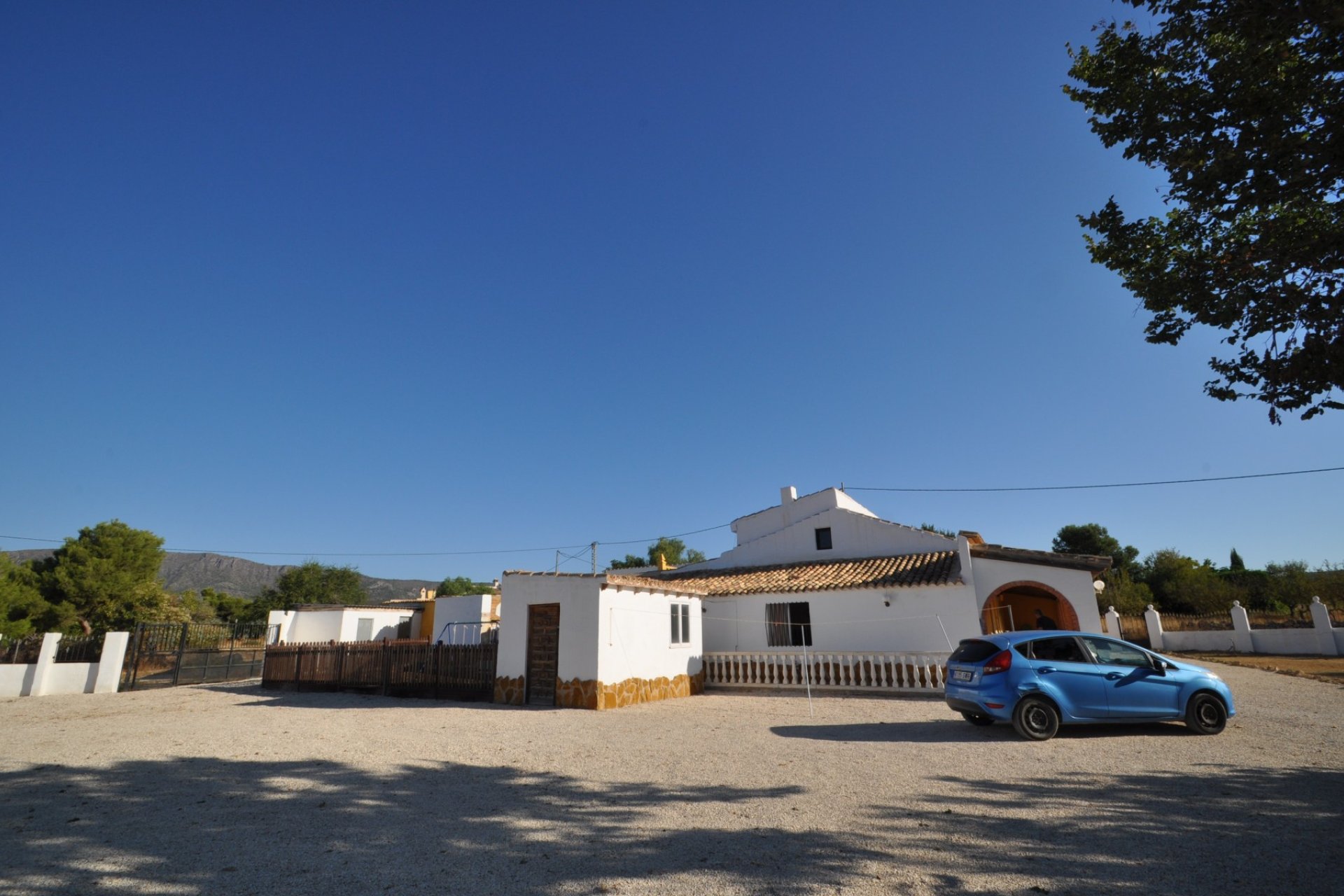 Reventa - Finca -
Pinoso - Pinoso - Town