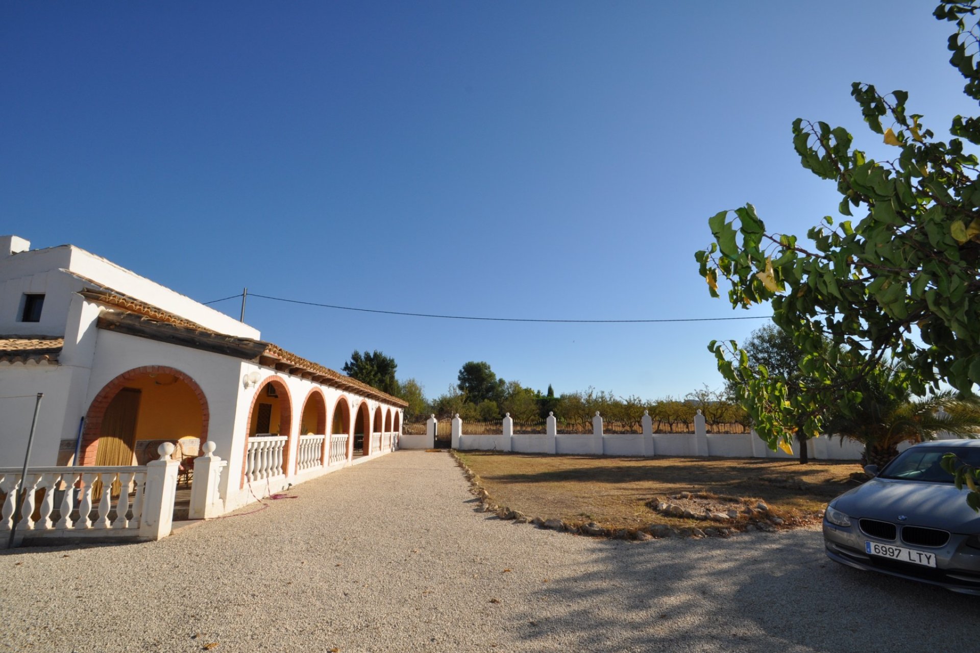 Reventa - Finca -
Pinoso - Pinoso - Town