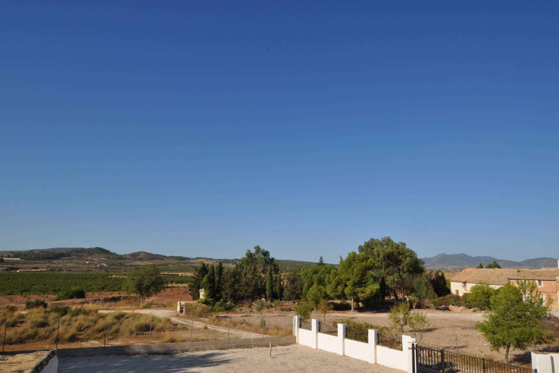 Reventa - Finca -
Pinoso - Pinoso - Town