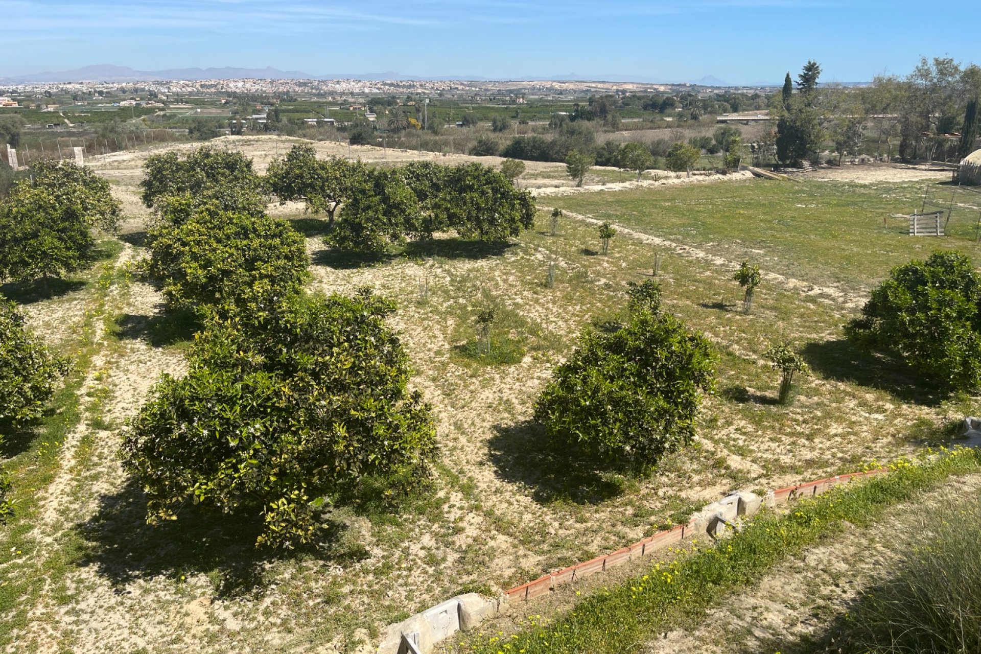 Reventa - Finca -
Rojales - Rojales - Country