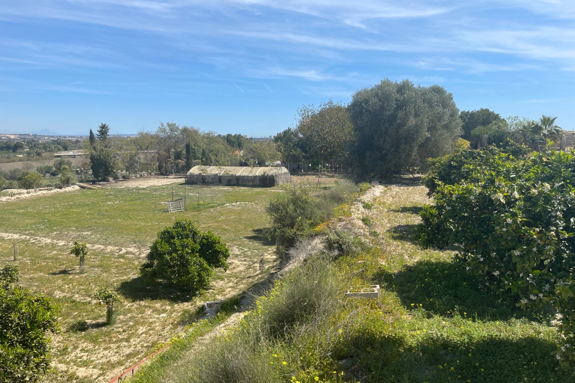 Reventa - Finca -
Rojales - Rojales - Country